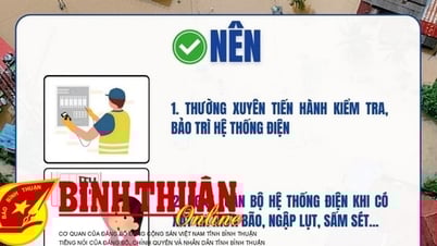 Hinweise der Binh Thuan Electricity Company zur elektrischen Sicherheit während der Regen- und Sturmzeit