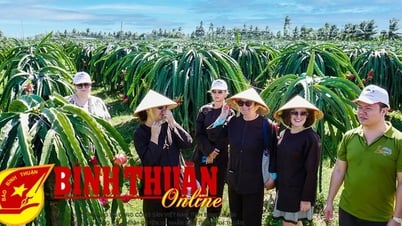 ការចុះបញ្ជីកម្មសិទ្ធិបញ្ញា ដើម្បីអភិវឌ្ឍទេសចរណ៍បៃតង