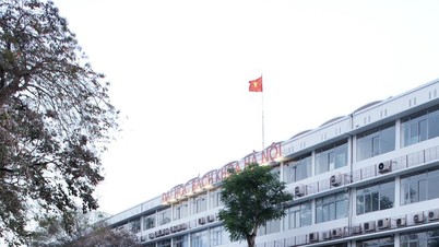 11 centros de formación para los recursos humanos de la energía nuclear de Vietnam hasta 2035