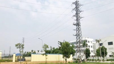 フォーノイ繊維工業団地の入居率が100%に到達
