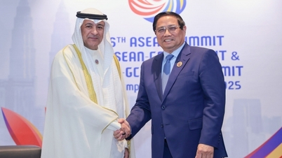ファム・ミン・チン首相が湾岸協力会議（GCC）事務総長と会談