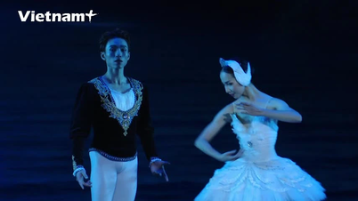 Disfrute del ballet clásico "El lago de los cisnes" de la Ópera y Ballet Nacional de Vietnam.