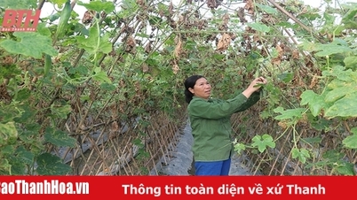 ปรับปรุงผลผลิตทางการเกษตรเพื่อประชาชน