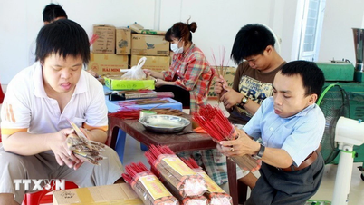 กิจกรรมที่มีความหมายสำหรับชาวเวียดนามที่ตกเป็นเหยื่อของสารพิษสีส้ม/ไดออกซินในฝรั่งเศส