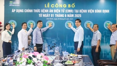 Lễ công bố áp dụng chính thức Bệnh án điện tử tại Bệnh viện Bình Định