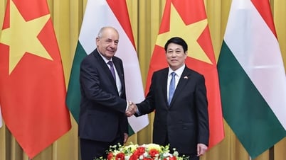 ประธานาธิบดีเลืองเกวงหารือกับประธานาธิบดีฮังการี