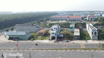 Chủ động xây dựng sớm các khu tái định cư phục vụ hàng loạt dự án