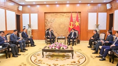 Đồng chí Nguyễn Duy Ngọc, Ủy viên Bộ Chính trị, Bí thư Trung ương Đảng, Chủ nhiệm Ủy ban Kiểm tra Trung ương tiếp Đại sứ đặc mệnh toàn quyền nước Cộng hòa nhân dân Trung Hoa tại Việt Nam
