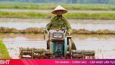 Les habitants de Ha Tinh préparent d'urgence les terres pour la production agricole d'été-automne