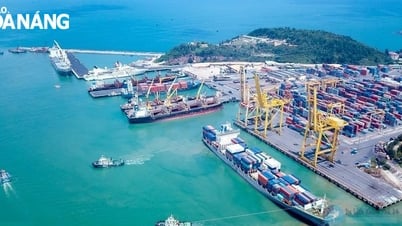 Da Nang implementa apoyo a las tasas de interés para las empresas