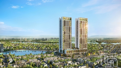 608 apartamentos elegibles para venta y alquiler