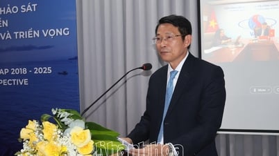Hội thảo hợp tác Viện Hàn lâm 2 nước Việt Nam và Liên bang Nga trong trong điều tra đa dạng sinh học và hóa sinh biển