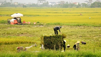 Thời tiết Nghệ An ngày 28/5: Chiều tối và đêm có mưa rào và dông rải rác