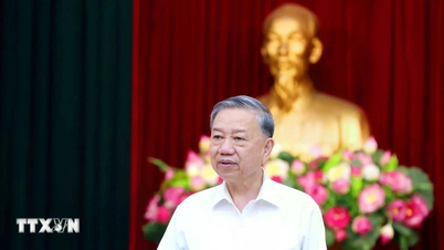 General Secretary: Urgently prepare for party congresses at all levels towards the 14th National Party Congress