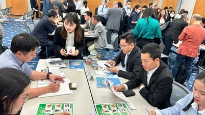Inviting Japanese businesses to invest in semiconductors in Vietnam