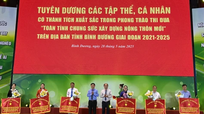 Binh Duong obtient des résultats exceptionnels en matière de construction de nouvelles zones rurales et de réduction durable de la pauvreté