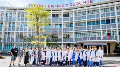 Đảng bộ Trường Đại học Y - Dược, Đại học Huế: Dấu ấn và triển vọng