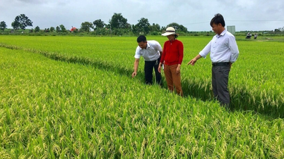 Gia Lai triển khai 6 nhiệm vụ trọng tâm phát triển kinh tế tập thể, hợp tác xã