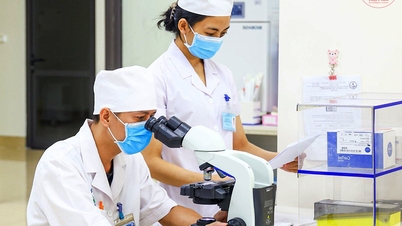 위조 제품, 품질 기준을 충족하지 못하는 제품 또는 원산지가 알려지지 않은 제품을 의료 시설에 반입하지 ​​마십시오.