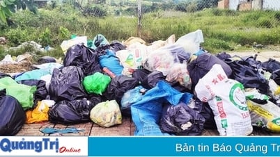 Trieu Phong: Zentrale Mülldeponien sind überlastet, Gefahr der Müllansammlung in Dörfern