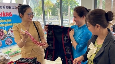 Sinh kế từ những khung dệt