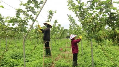 Unir nos forces pour développer une agriculture durable