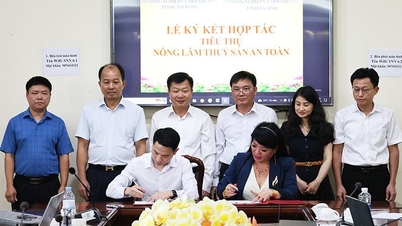 Lam Dong und Ha Tinh verbinden sich, um saubere landwirtschaftliche Produkte zu fördern und zu konsumieren