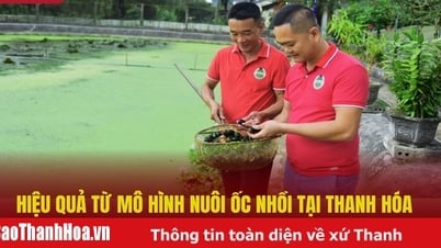 ประสิทธิผลของรูปแบบการเลี้ยงหอยทากในThanh Hoa