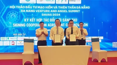 Danang Venture และ Angel Investment Forum 2025 กำลังจะมาเร็วๆ นี้