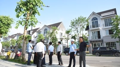 Le vice-président du Comité populaire provincial inspecte l'avancement des projets de construction de logements sociaux
