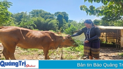 កិច្ច​ខិត​ខំ​ប្រឹង​ប្រែង​គេច​ពី​ភាព​ក្រីក្រ​របស់​ប្រធាន​ក្រឡា​បក្ស​ស្ត្រី​ភូមិ​ត្រុំ