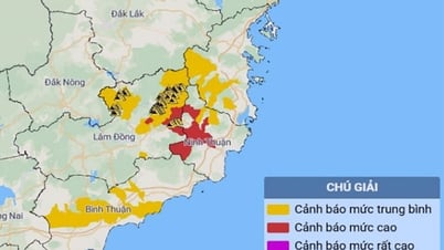 Dự báo mưa lớn trong 2 ngày tới