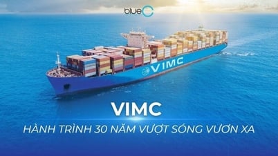 [事例] VIMC – 波を乗り越えて遠くまで到達した30年の旅
