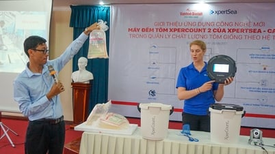 Цифровые тенденции