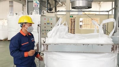Cơ hội từ cát trắng