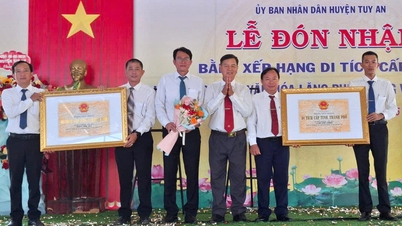 สุสานฟูลืองและวัดทามโตอาได้รับการจัดอันดับให้เป็นโบราณสถานของจังหวัด