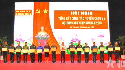 Can Tho City summarizes military recruitment work in 2025