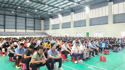 บินห์ดิงห์: ครูฝึกศิลปะป้องกันตัวแบบดั้งเดิมเกือบ 1,000 คน