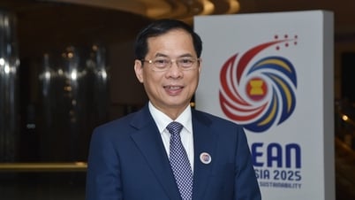 Deputy Prime Minister and Minister Bui Thanh Son answered questions about the results of Prime Minister Pham Minh Chinh's working trip to Malaysia.