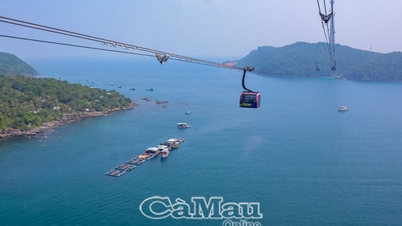 The world's longest 3-wire sea-crossing cable car