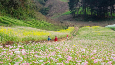 Turismo en la aldea de Long Luong: experimente la belleza pacífica en el corazón del noroeste