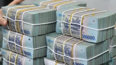 疾病予防基金設立の提案