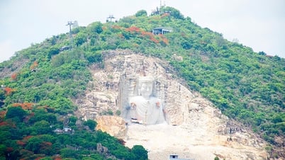 About Sam mountain in the phoenix flower blooming season