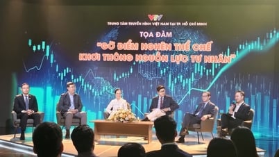 إزالة الاختناقات المؤسسية، وإطلاق العنان للموارد الخاصة