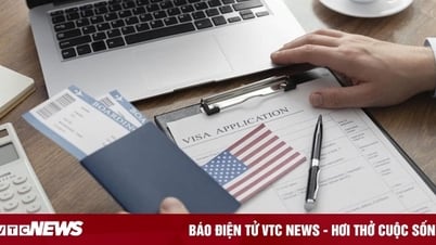 L’Amérique a soudainement cessé de délivrer de nouveaux visas étudiants, pourquoi ?