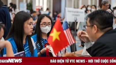 The US stops issuing new student visas, many Vietnamese students are 'like birds with broken nests'