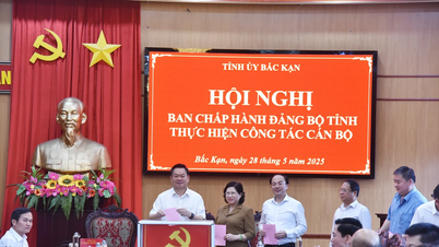 Conférence du Comité du Parti de la province de Bac Kan sur le travail du personnel