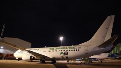 Bamboo Airways suma nuevos aviones para dar la bienvenida al pico de verano de 2025