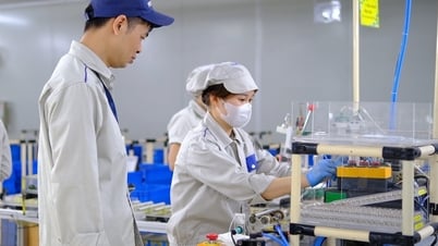 근로자를 위한 안전한 작업 환경 조성