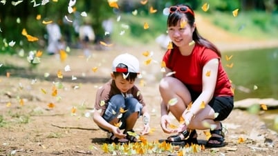 Mehr als 400 Schmetterlingsarten zeigen ihre Farben und „faszinieren“ Touristen im Wald von Cuc Phuong